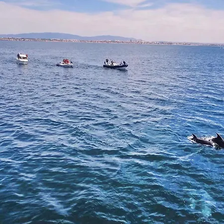 빌라 Casablanca By Algarve Vacation